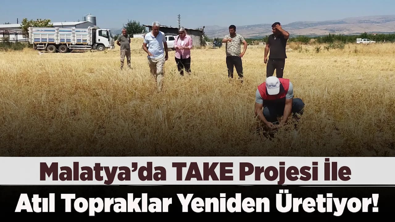 Devlet Desteği Sonuç Verdi! Malatya'da 500 Tonluk Rekolte Bekleniyor