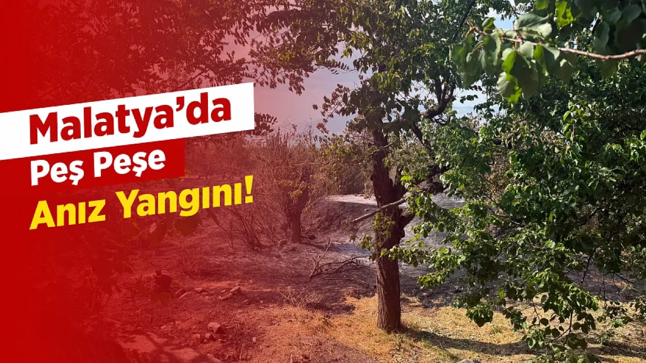 Malatya'da İki İlçeyi Ayağa Kaldıran Yangın Rüzgarla Yayıldı!