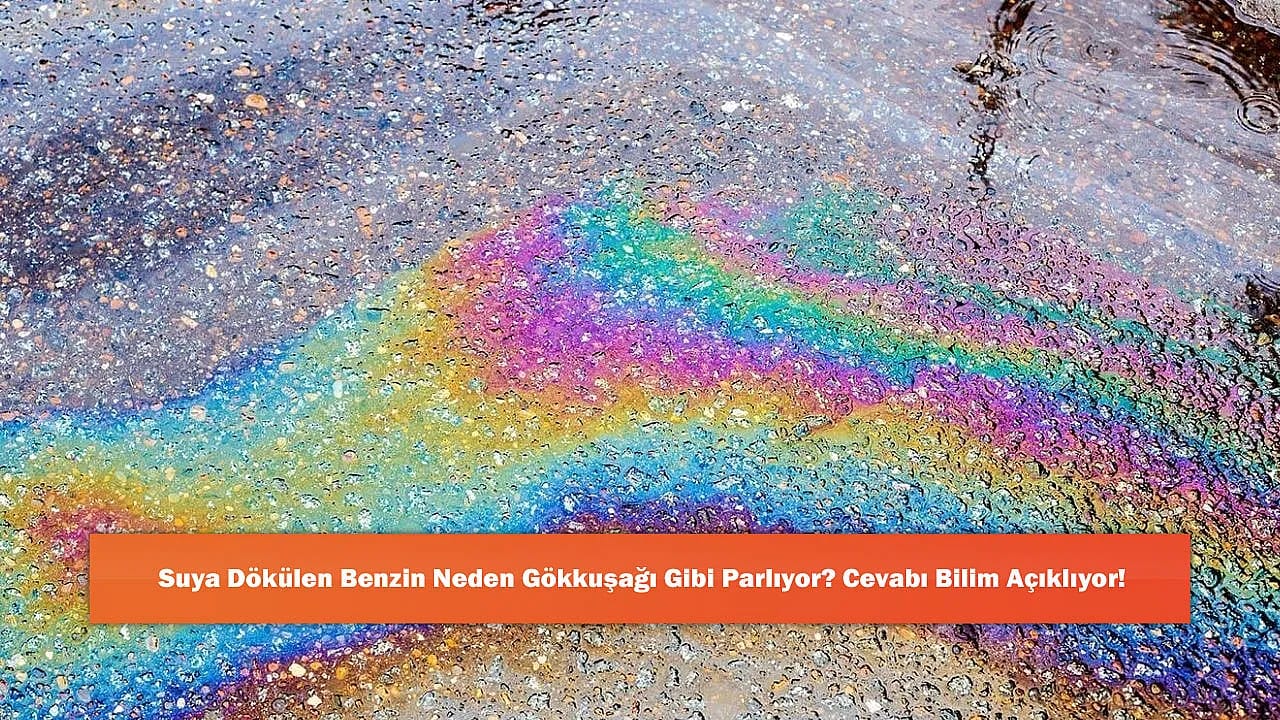Suya Dökülen Benzin Neden Gökkuşağı Gibi Parlıyor? Cevabı Bilim Açıklıyor!