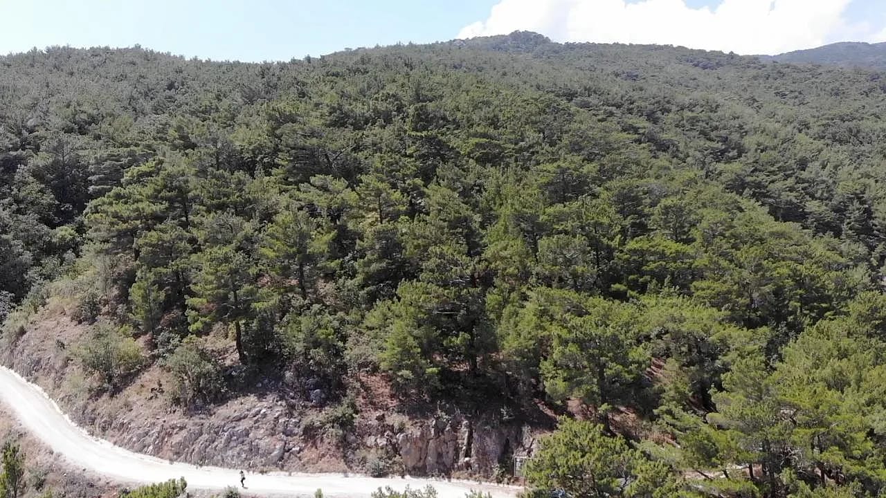 Çanakkale Valiliğinden Orman Yangını Uyarısı