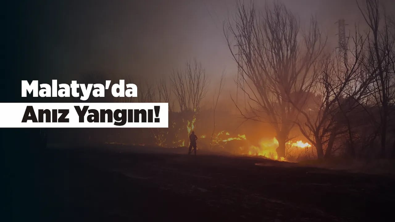 Malatya'da Anız Alevleri Yükseldi! Olası Felaket Önlendi