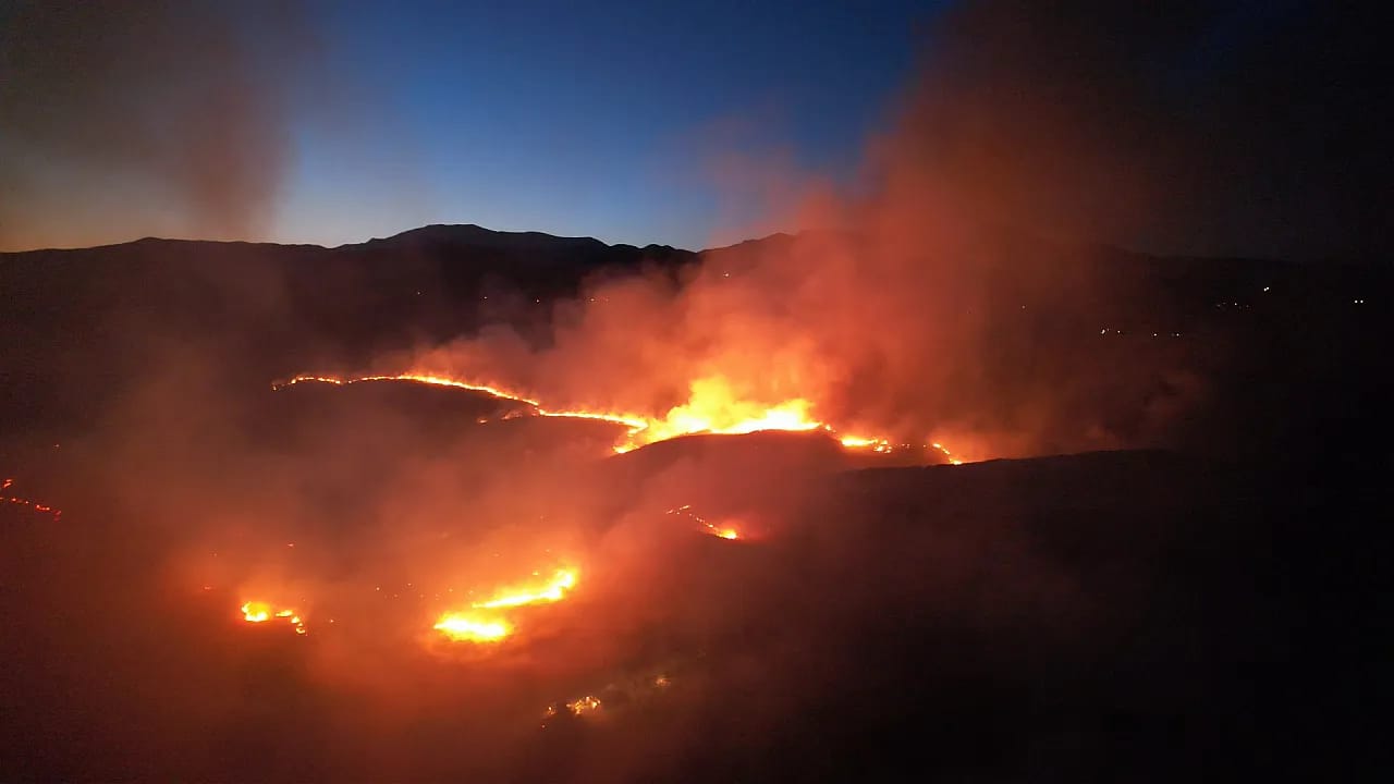 Adıyaman'da Korkutan Yangın! Zararın Boyutu Açıklandı
