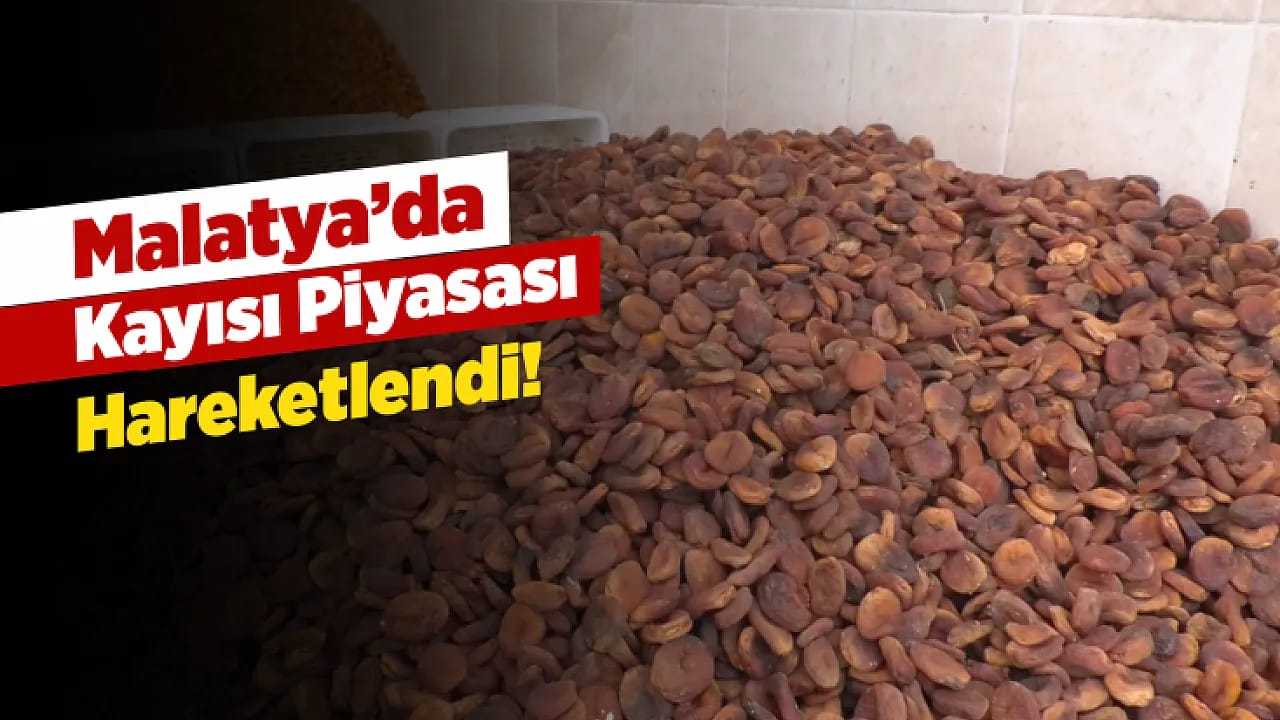 Malatya'da Sezonun İlk Fiyatları Üreticiyi Ve Tüccarı Nasıl Etkiledi?