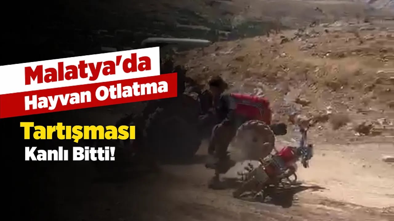 Malatya'da Hayvan Otlatma Anlaşmazlığı Kavgaya Dönüştü!