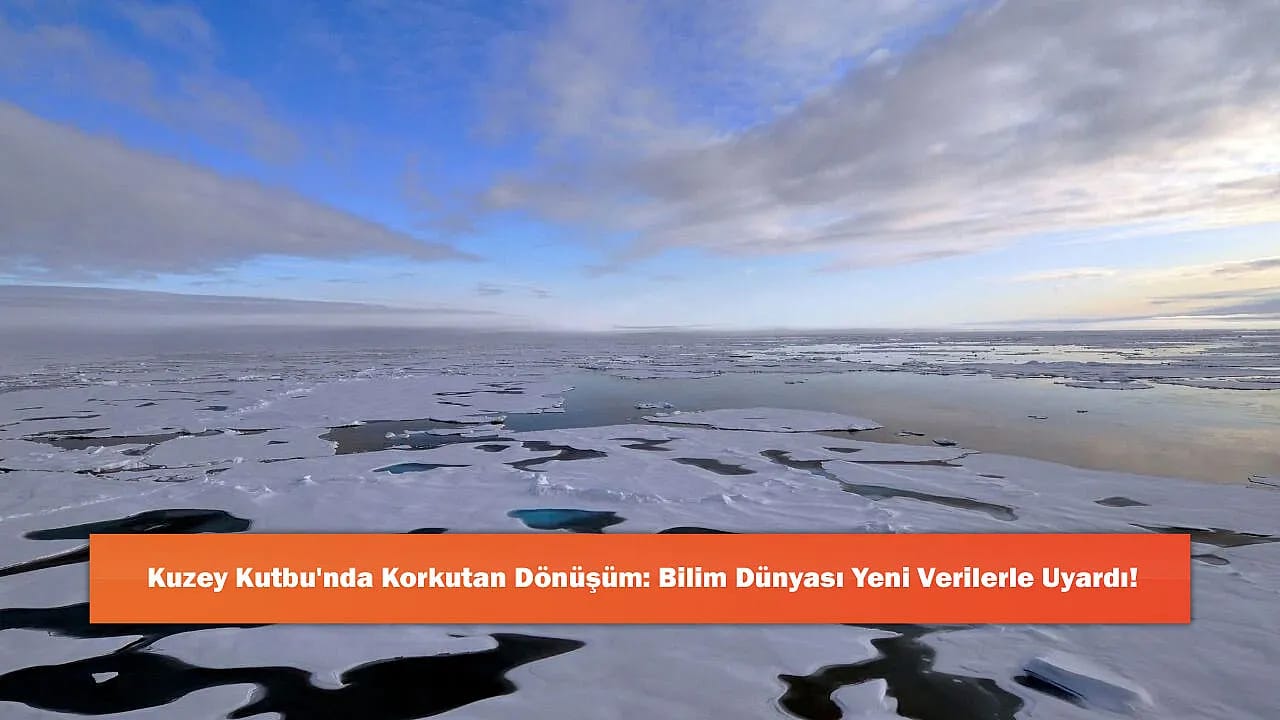 Kuzey Kutbu'nda Korkutan Dönüşüm: Bilim Dünyası Yeni Verilerle Uyardı!