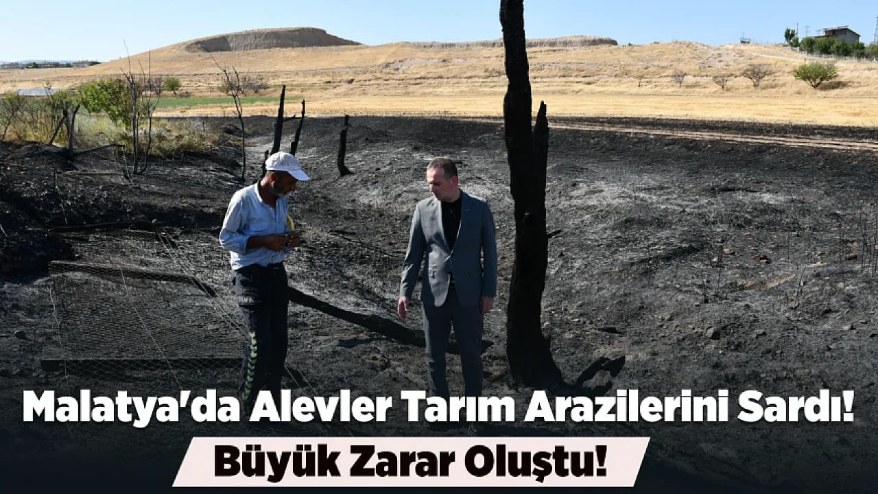 Tohma Mahallesi'nde Korkutan Yangın! Alevler Meyve Bahçelerine Sıçradı