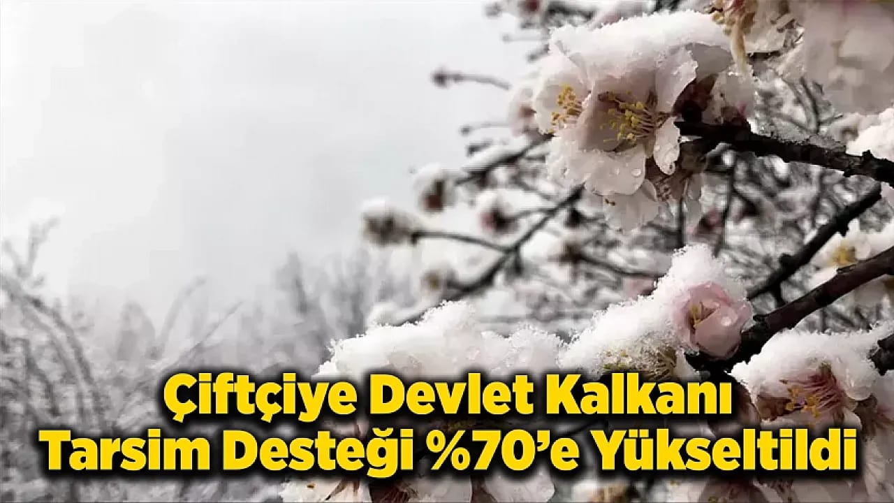 Malatya Kayısısı İçin Kış Donunda Yeni Dönem