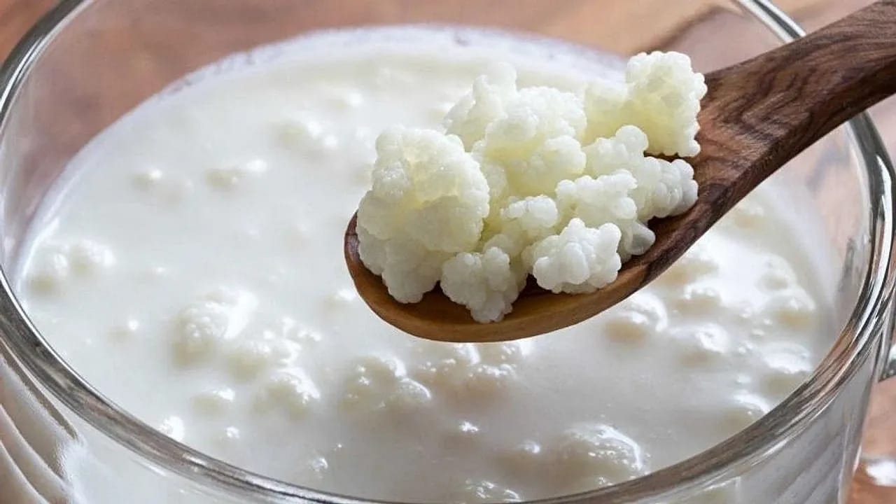 Orta Asya Bozkırlarından Modern Sofralara Uzanan 5000 Yıllık Şifa İksiri Kefir