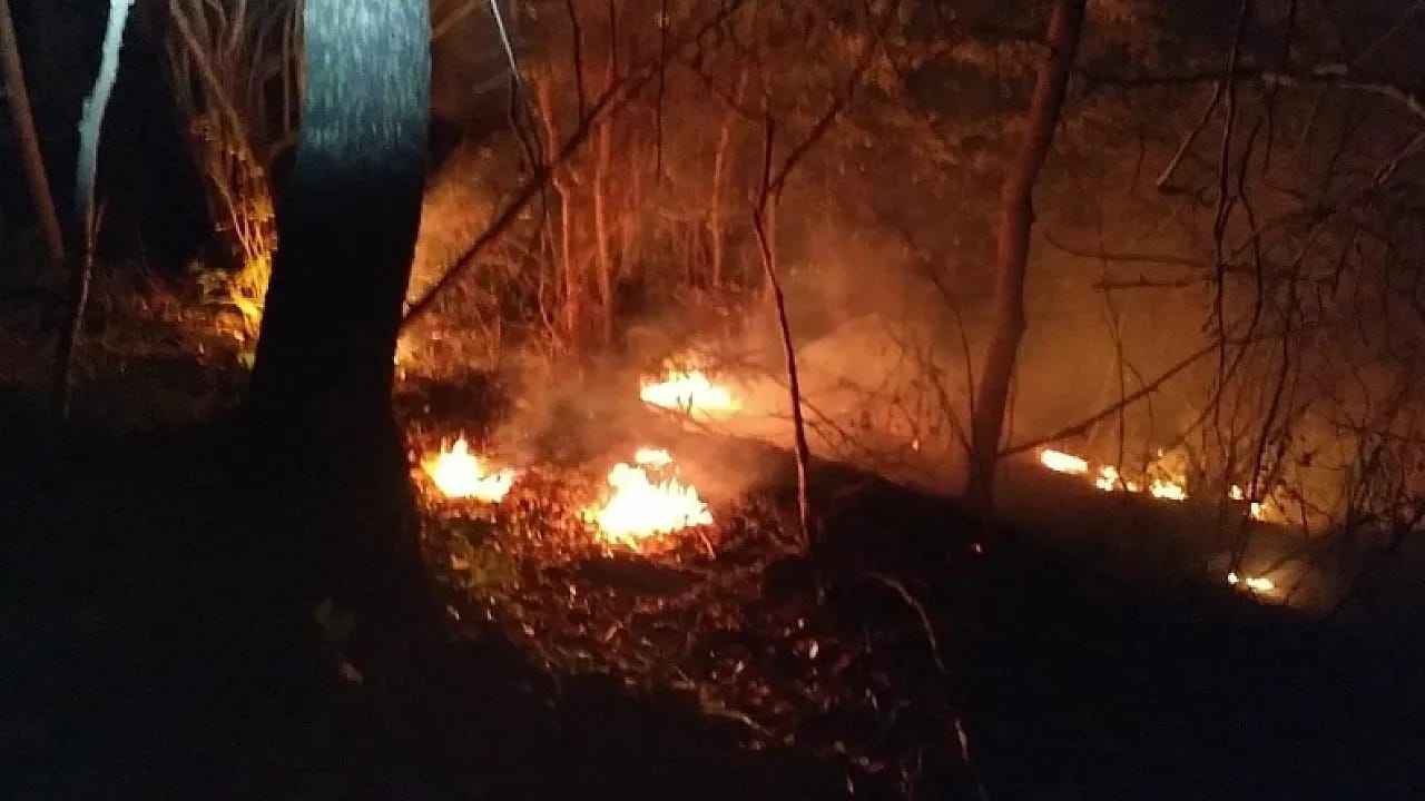 Avustralya'da Yerleşim Yerleri Boşaltılıyor!