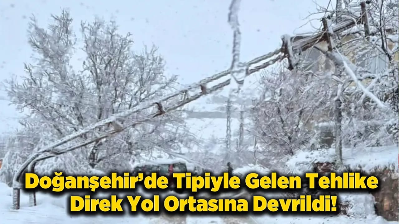 Doğanşehir'de Yoğun Kar Yağışı! Direk Yola Devrildi