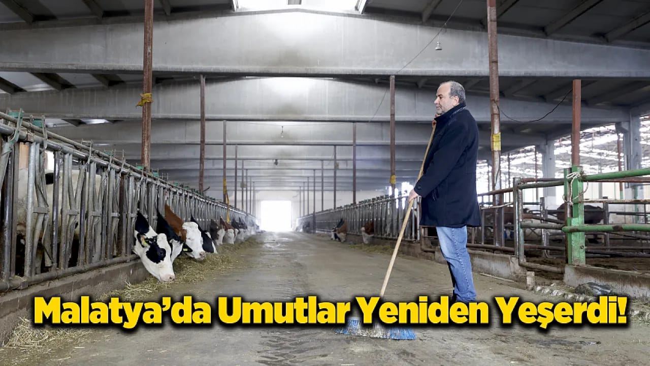 Malatya'da Bir Üreticinin Umut Yolculuğu! 17 Kayıptan 400'e Yükseldi