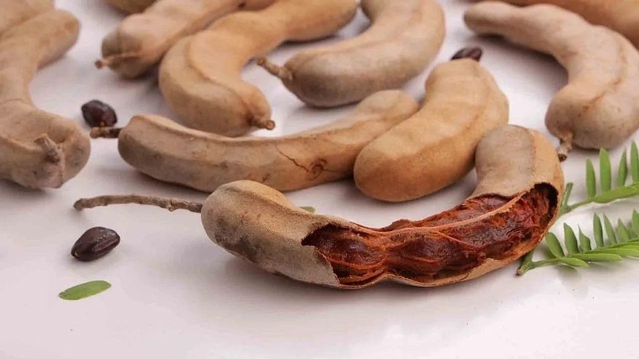 Doğanın Mucizesi Demirhindi Tropikal Aroması ve Eşsiz Kullanım Alanlarıyla Dikkat Çekiyor