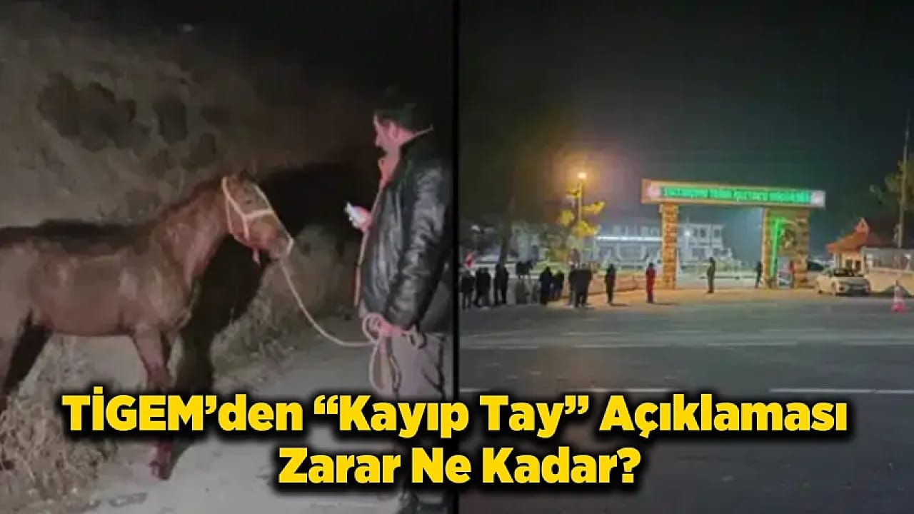 Vekilin Açıklamasına TİGEM'den Açıklama Geldi! Zarar Ne Kadar?