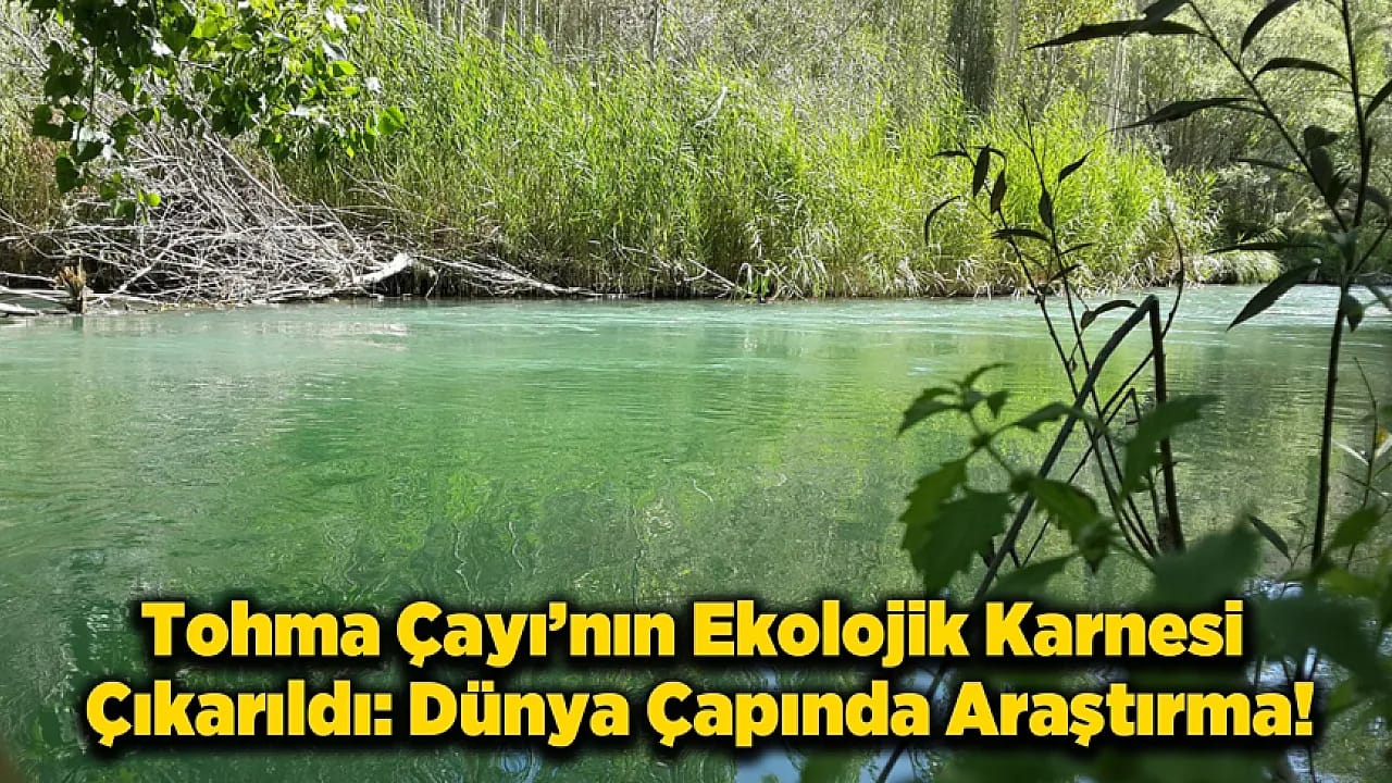 Malatya Tohma Çayı İçin Kritik Rapor: Su Temiz Ama Yatakta Tehlike Var!
