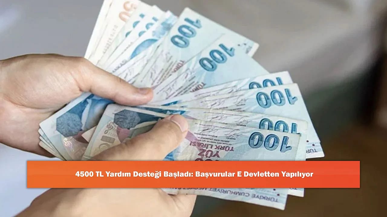 4500 TL Yardım Desteği Başladı: Başvurular E Devletten Yapılıyor
