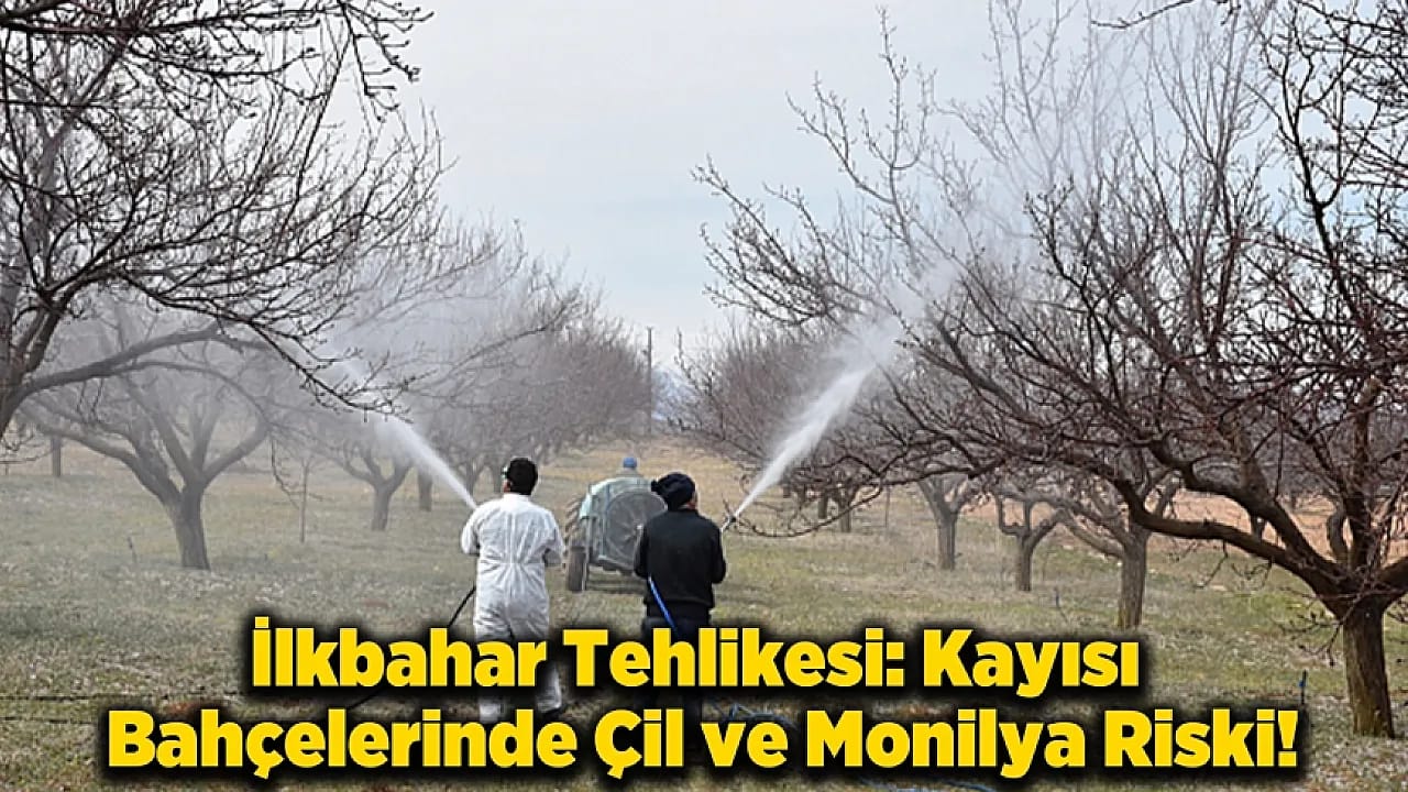 Malatya'da Üreticilere Kritik Uyarı: Verim Kaybını Önlemek İçin İlaçlama Şart