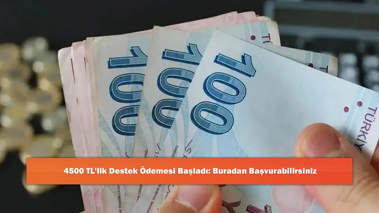 4500 TL'lik Destek Ödemesi Başladı: Buradan Başvurabilirsiniz