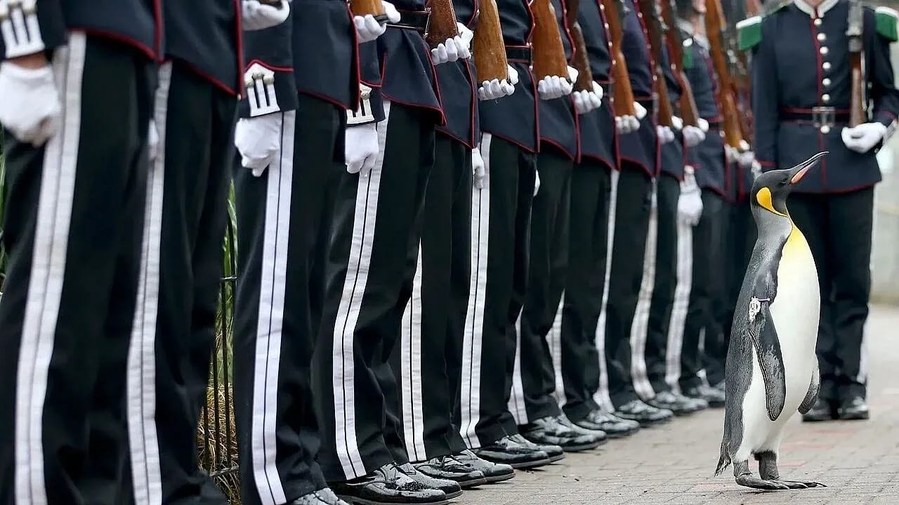 Dünya Tarihine Damga Vuran Hayvanlar ve Üstlendikleri Sıra Dışı Görevler