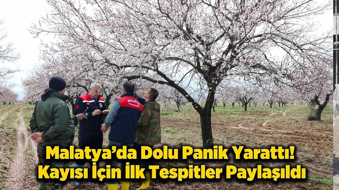 Kayısıyı Dolu Vurdu mu? Malatya'da Kayısı İçin Kritik Açıklama!