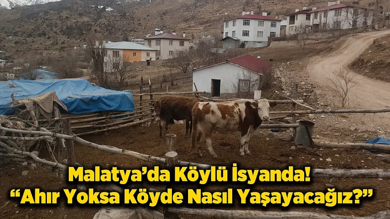 Malatya'da Ahır Krizi! Proje Eksikliği Üretimi Bitirdi