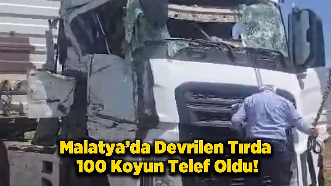 Malatya Arapgir'de Feci Kaza! Hayvan Yüklü Tır Devrildi, Yol Savaş Alanına Döndü