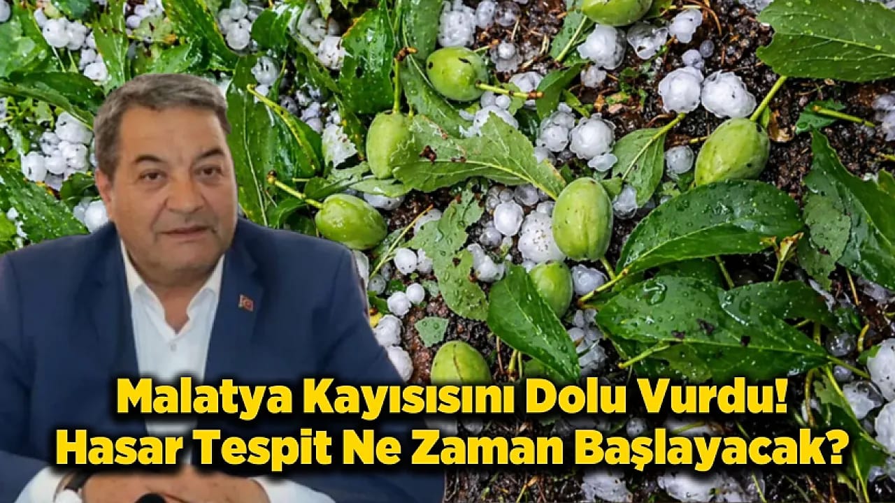 Malatya'da Dolu Kayısıyı Vurdu, Hasar Tespiti Başlayacak mı?
