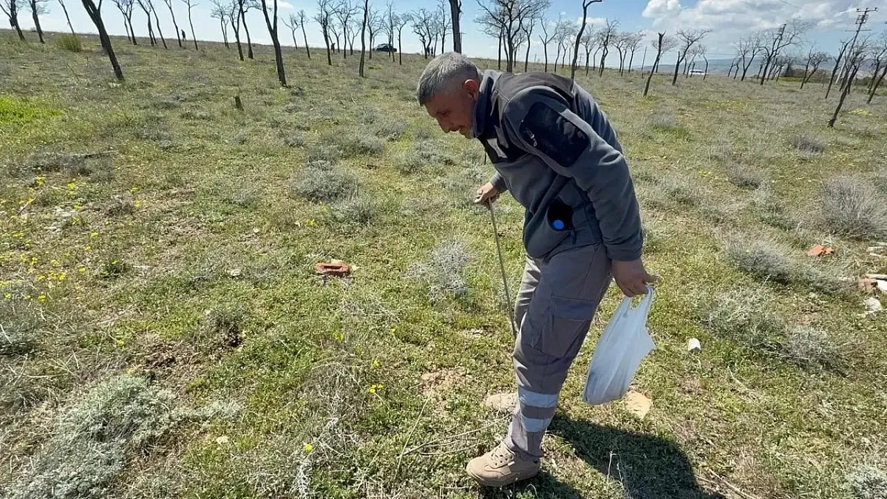 Eskişehir Kırsalında Yer Altı Altını Mesaisi! Kilosu 2 Bin TL'den Kapış Kapış Gidiyor