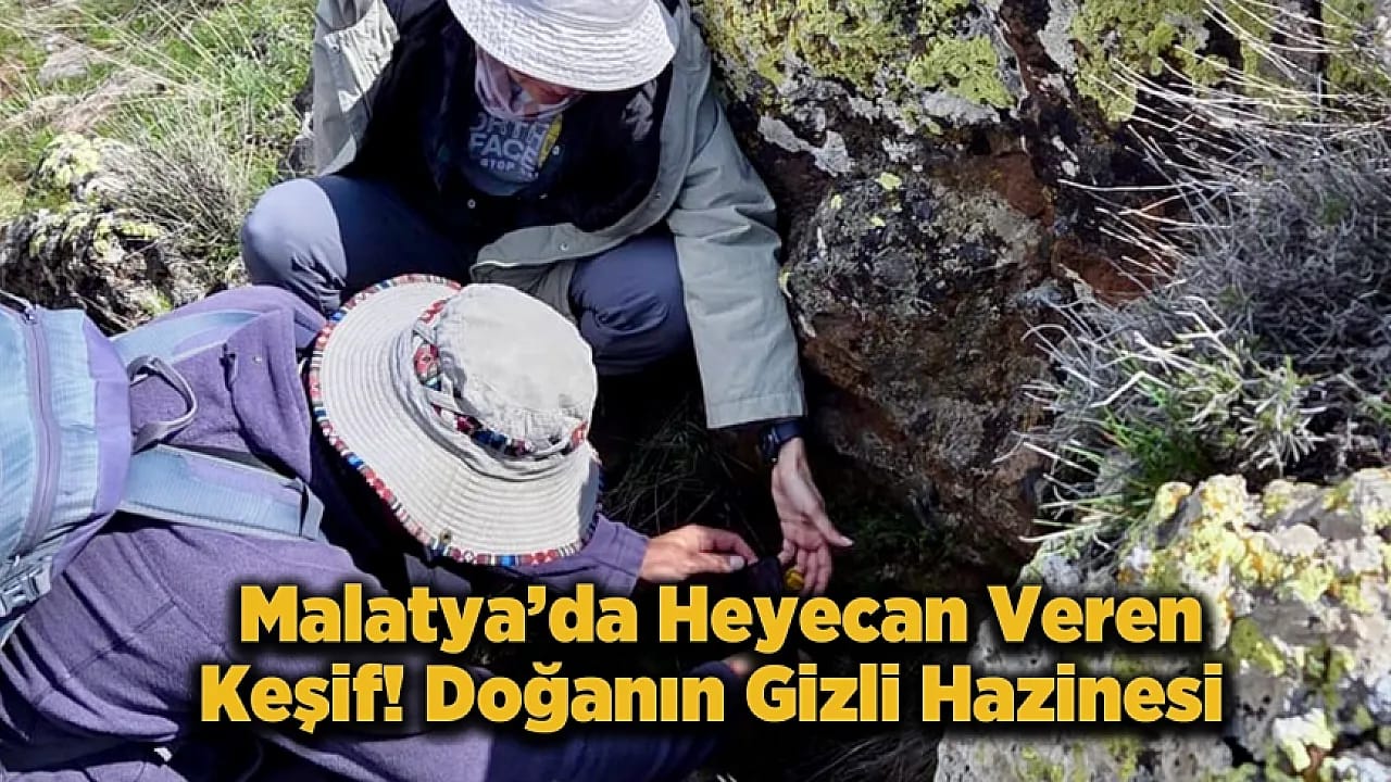 Köy Köy Gezip Aradılar! Malatya'da Dev Flora Projesi Start Aldı