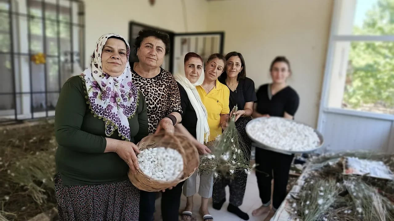 Malatya'da İpek Böceği Yetiştiriciliği Seferberliği Başlıyor!