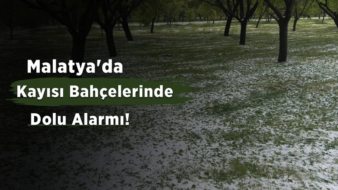 Malatya'da 10 Dakikalık Dolu Kabusu! Yollar Beyaza Büründü, Tarım Arazileri Zarar Gördü