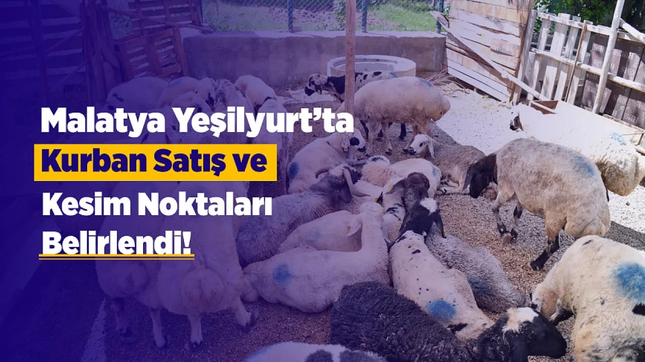 Yeşilyurt'ta Kurban Bayramı Öncesi Hazırlıklar Yoğunlaştı!