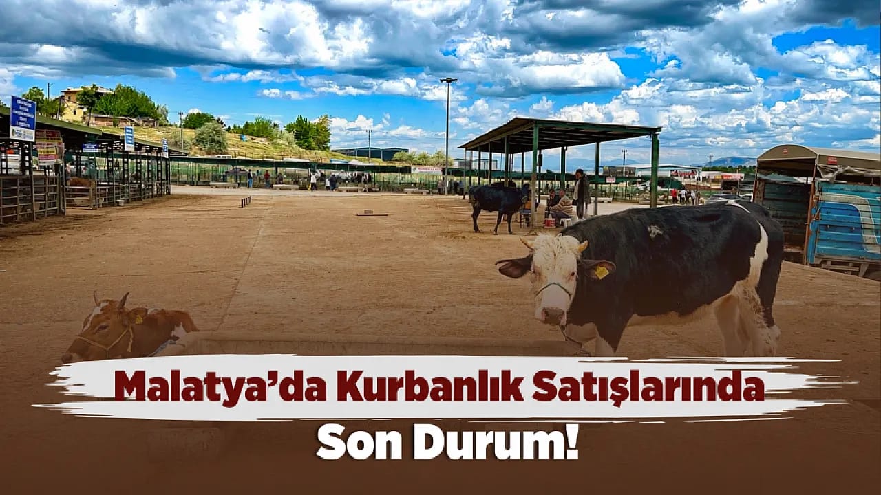 Malatya Canlı Hayvan Pazarı'nda Bayram Dengesi!