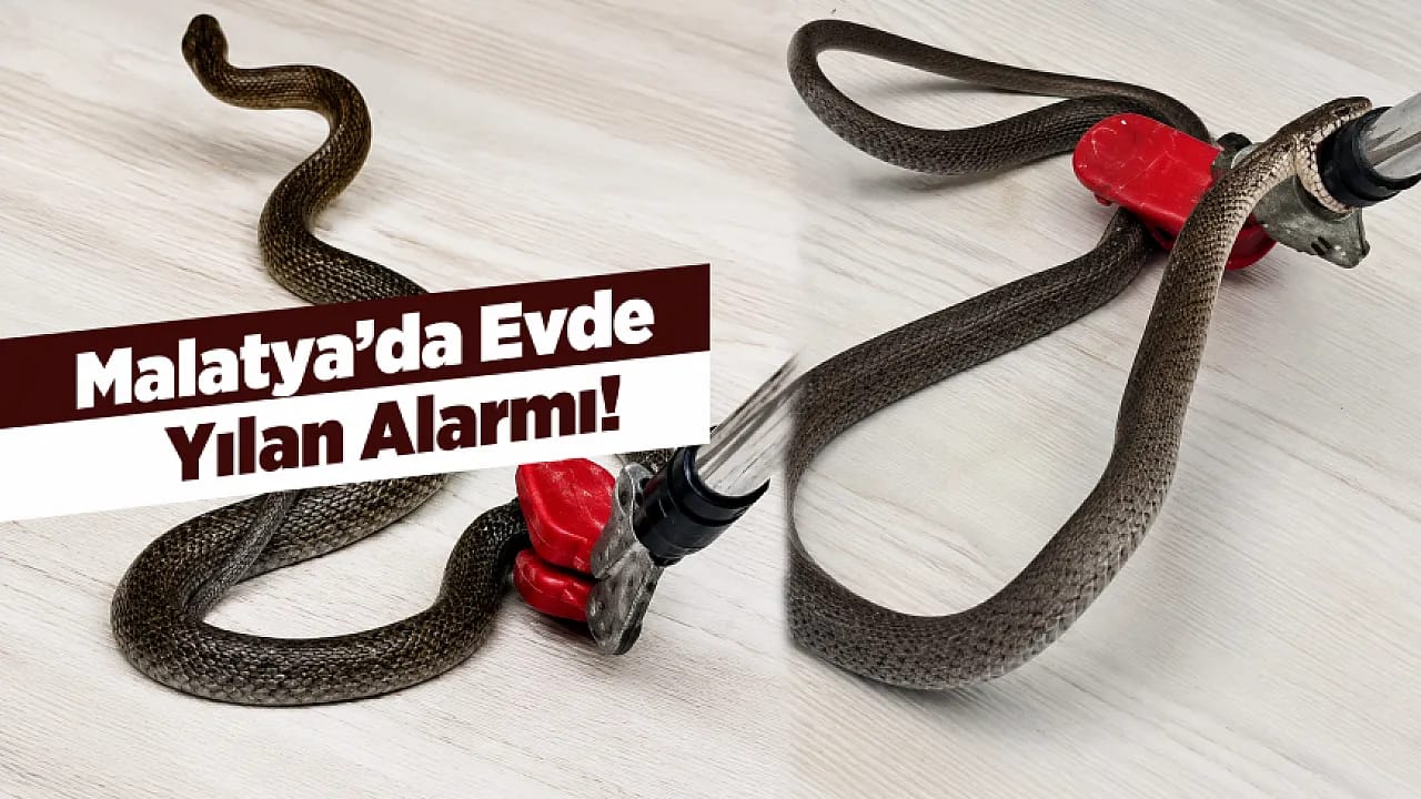 Malatya Yeşilyurt'ta Evde Yılan Sürprizi!