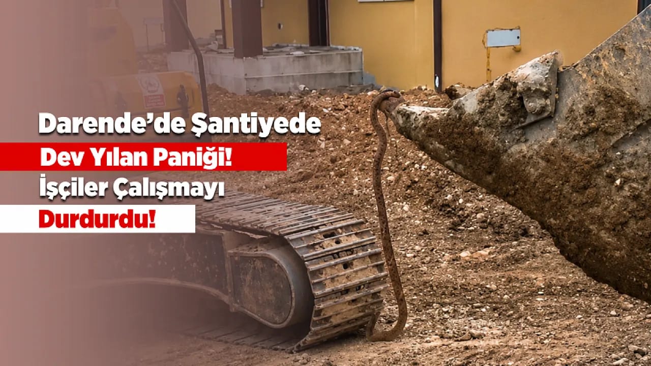 Malatya'da Dev Yılan Paniği! Şantiye Bir Anda Karıştı