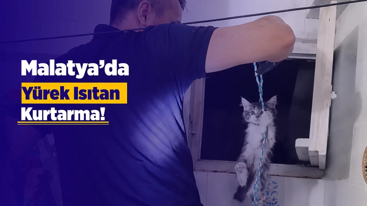 Malatya'da Havalandırma Boşluğundaki Minik Can Kurtuldu!