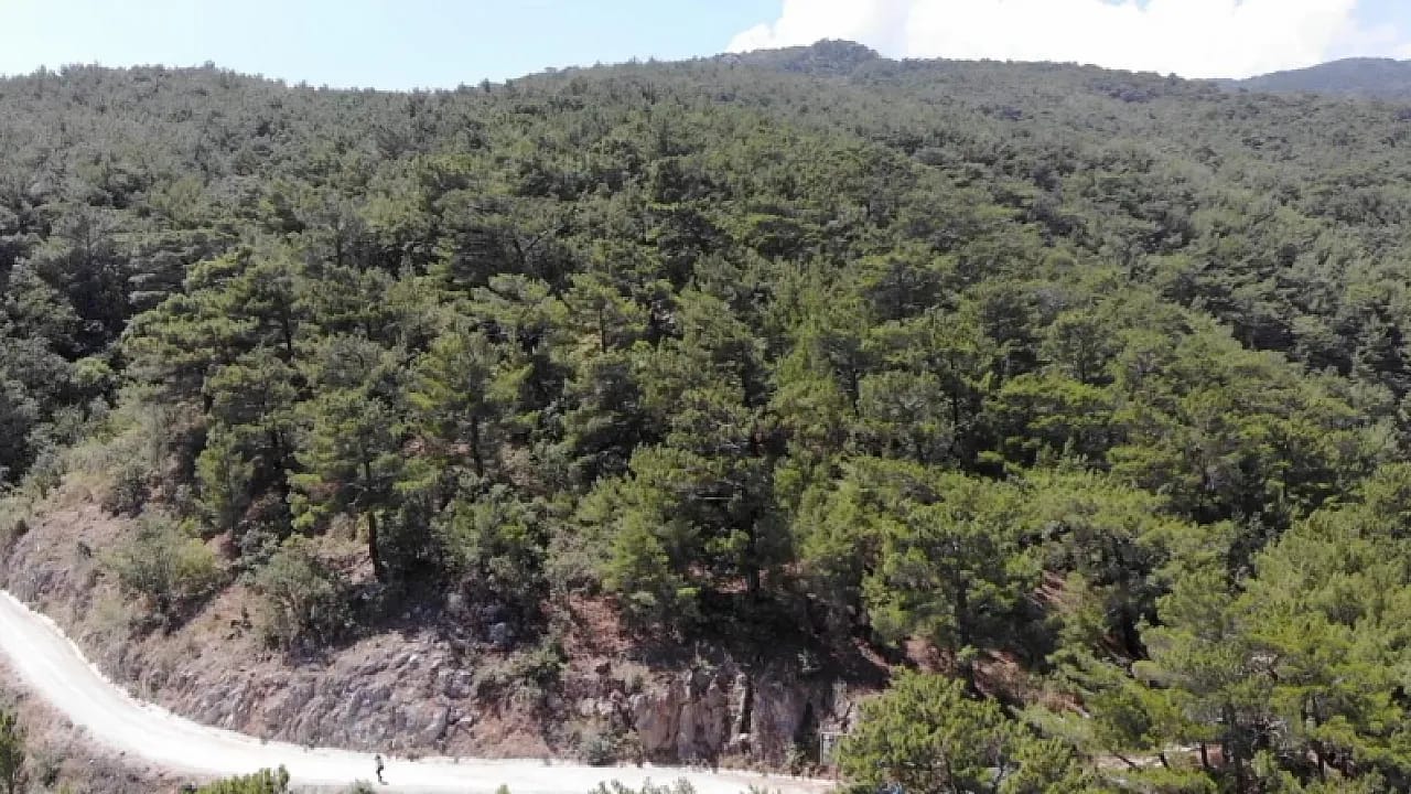 Bilecik'te Yayla ve Ormanlık Alanlara Girişlere Geçici Kısıtlama!