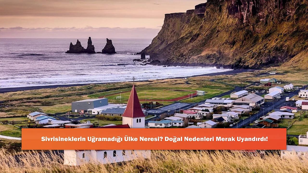 Sivrisineklerin Uğramadığı Ülke Neresi? Doğal Nedenleri Merak Uyandırdı!