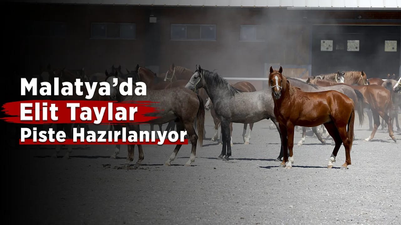 Malatya'da Şampiyonların Yeni Nesli Pistlere Hazırlanıyor!