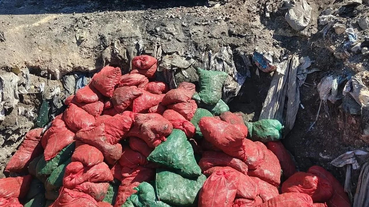 Soma'da Bozuk 4 Ton Midye İmha Edildi