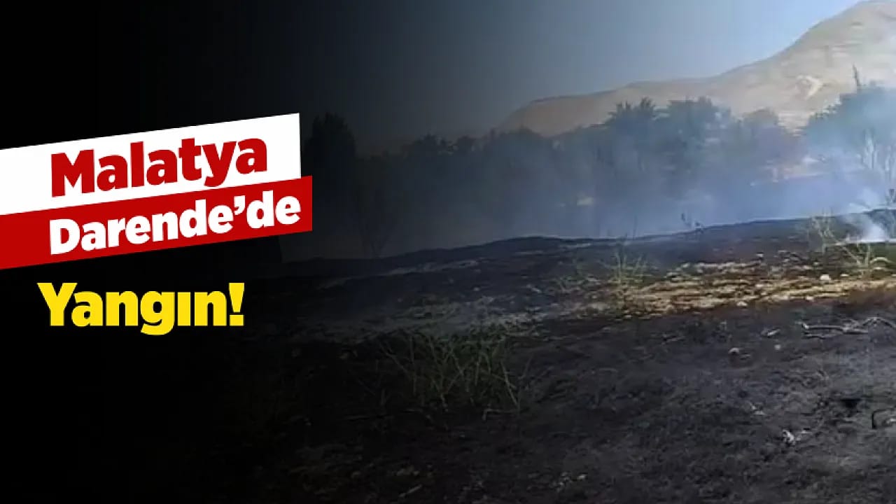 Malatya Darende'de Yangın! Tarım Arazileri Son Anda Kurtarıldı