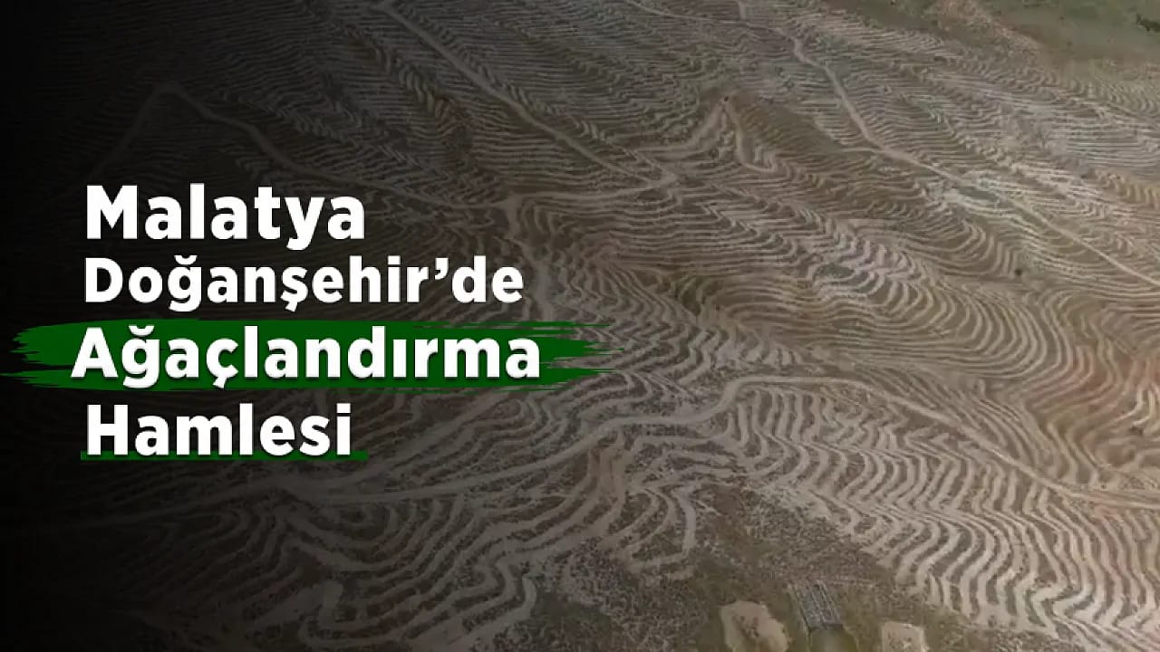 Malatya'da Yeşil Vatan Hamlesi! Doğanşehir Dağlarında Dönüşüm