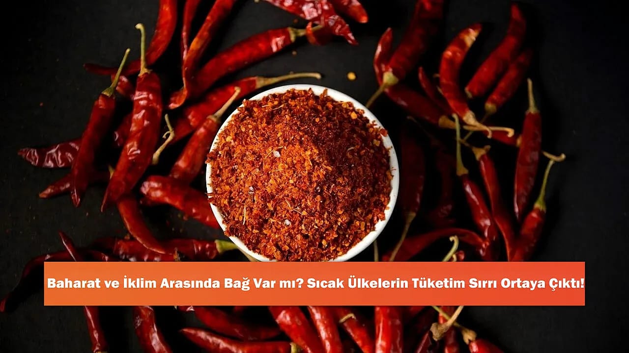 Baharat ve İklim Arasında Bağ Var mı? Sıcak Ülkelerin Tüketim Sırrı Ortaya Çıktı!