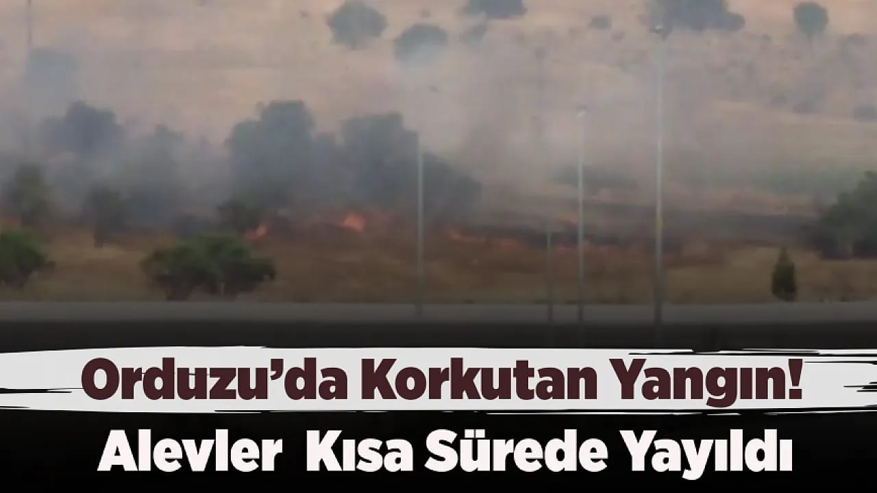 Malatya'da Yangın Evlere Dakikalar Kala Durduruldu