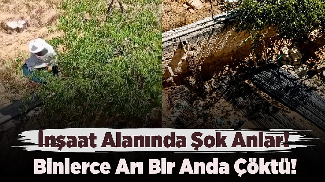 Malatya'da Arı Sürüsü Nedeniyle Şantiye Tahliye Edildi