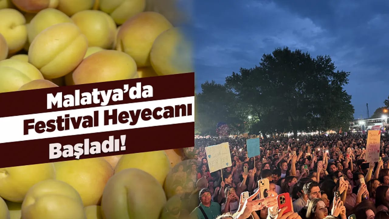 Malatya'da Kayısı Festivali Coşkusu Başlıyor
