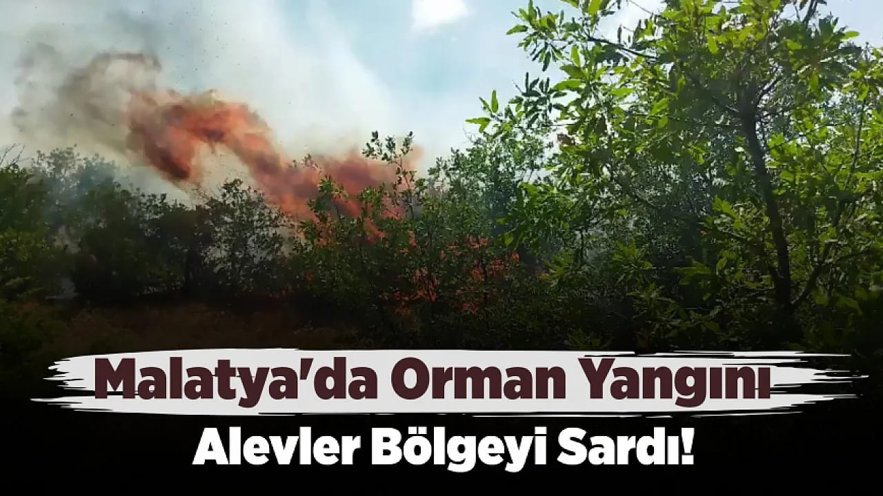 Malatya Kırmızı Alarmda: İki İlçede Birden Yangın!