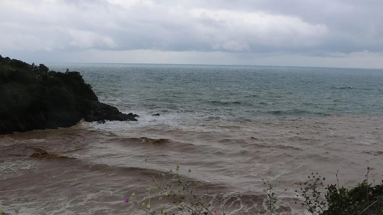 Karadeniz'de Deniz Yasağı! Zonguldak ve Sakarya'da Sahillere Güvenlik Önlemi