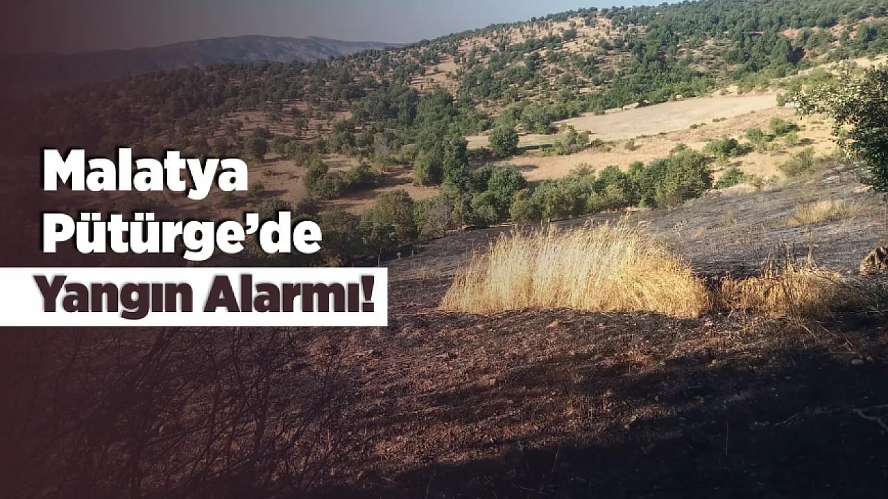 Malatya Pütürge'de 20 Dönümlük Alan Kül Oldu!