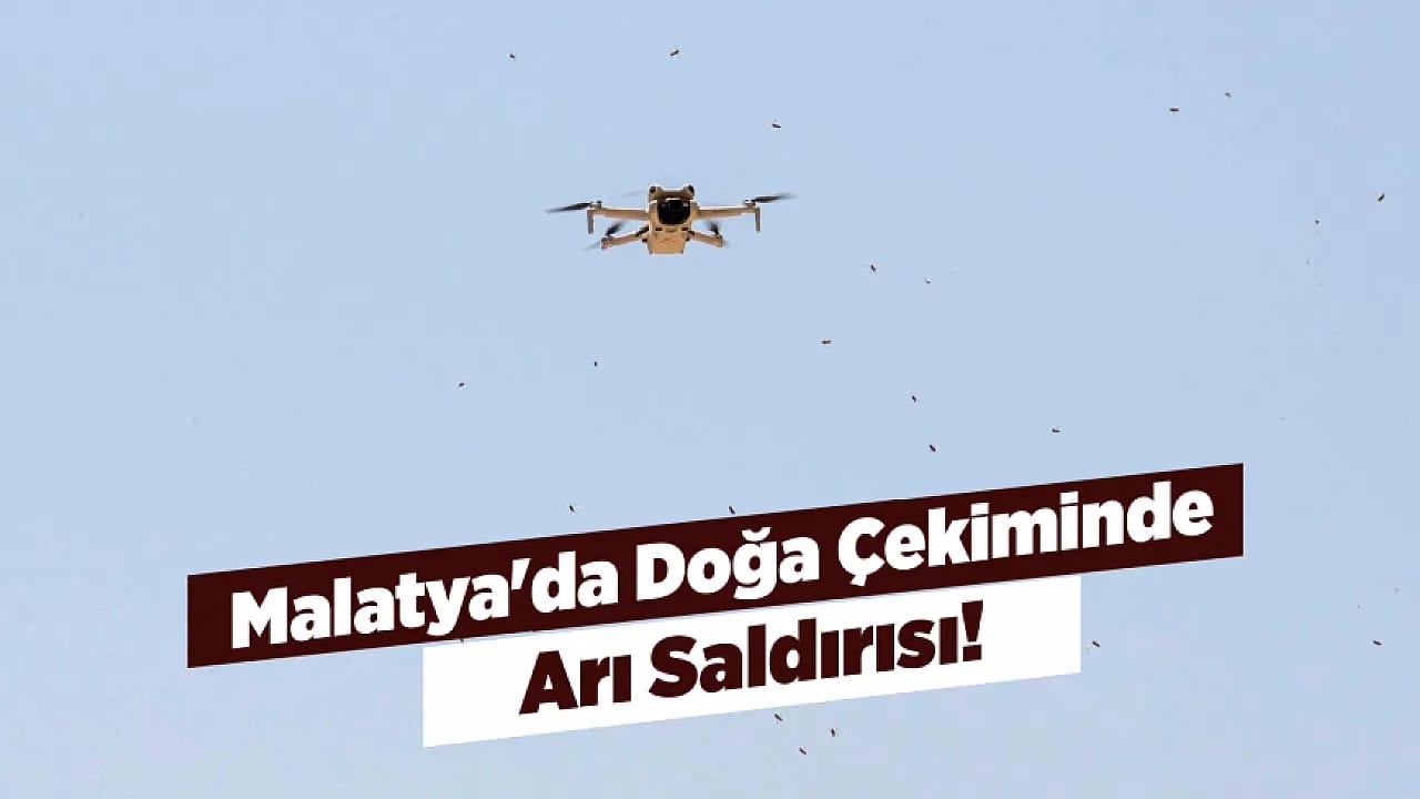 Malatya'da Kelebek Peşindeki Fotoğrafçılar Arı Saldırısıyla Karşılaştı