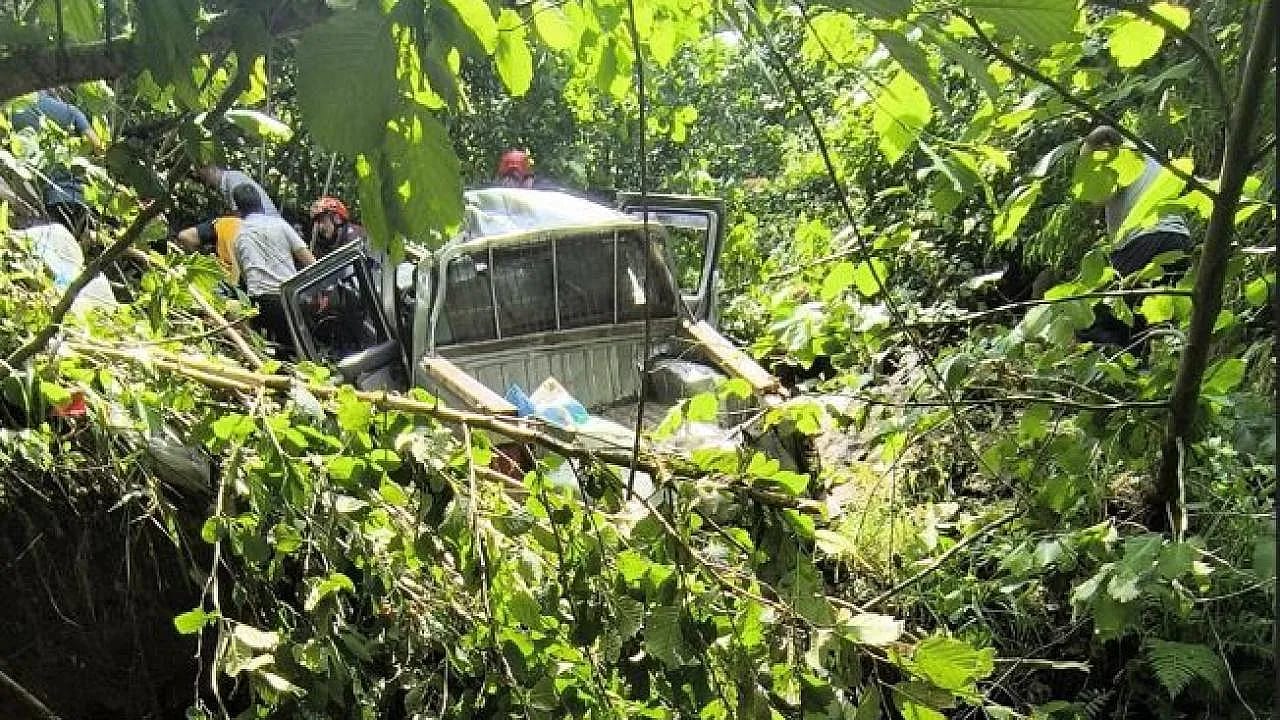 Trabzon'da Kamyonet Fındık Bahçesine Yuvarlandı
